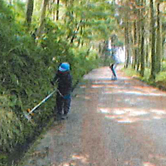 進入路の清掃