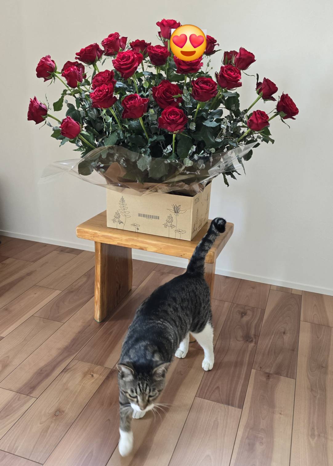 にゃんとも癒される日常